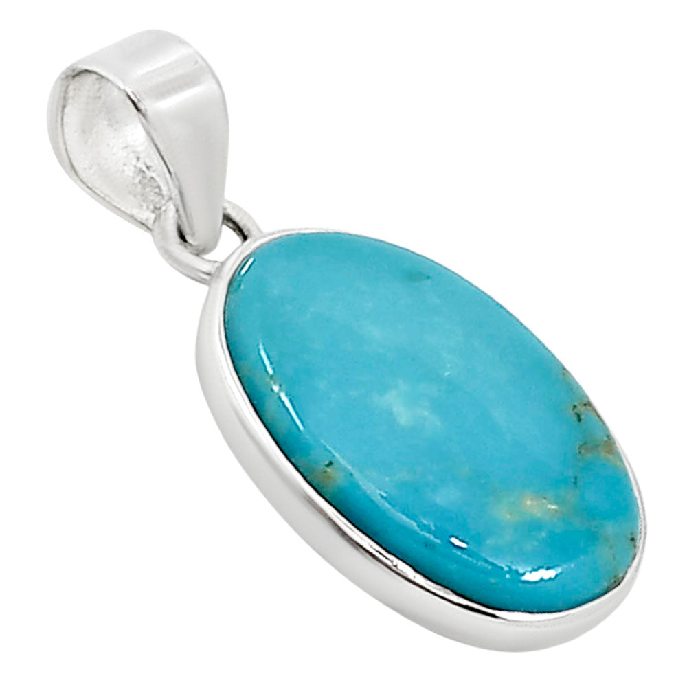 Natural Rare Turquoise Nevada Aztec Mt Pendant P-1002 27-EP10901