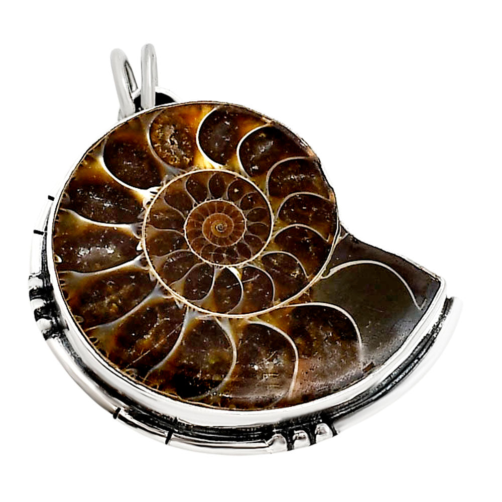 Fossil Ammonite Pendant P-1736 SDP158652