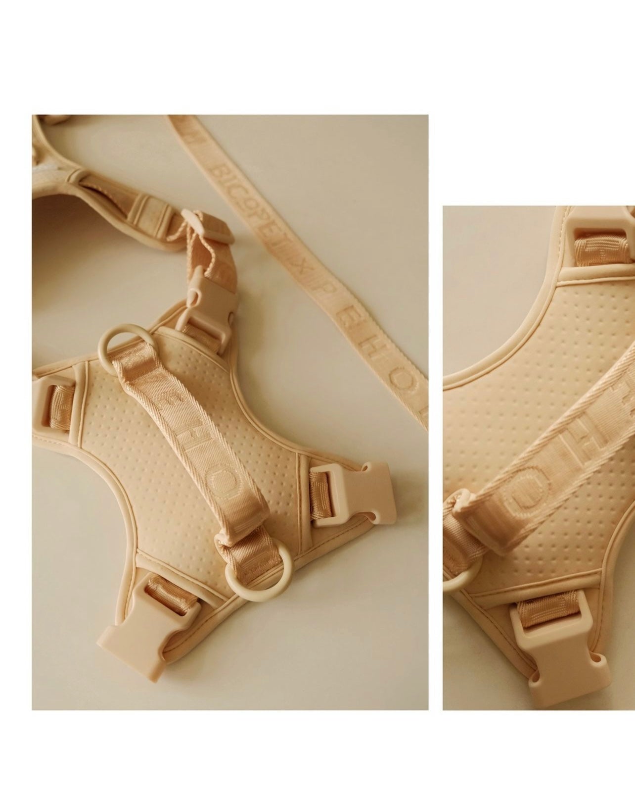 NO PULL ACTIVE PET HARNESS - MINT PURPLE