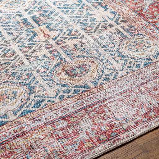 Rust Catadupa Distressed Washable Area Rug - Clearance