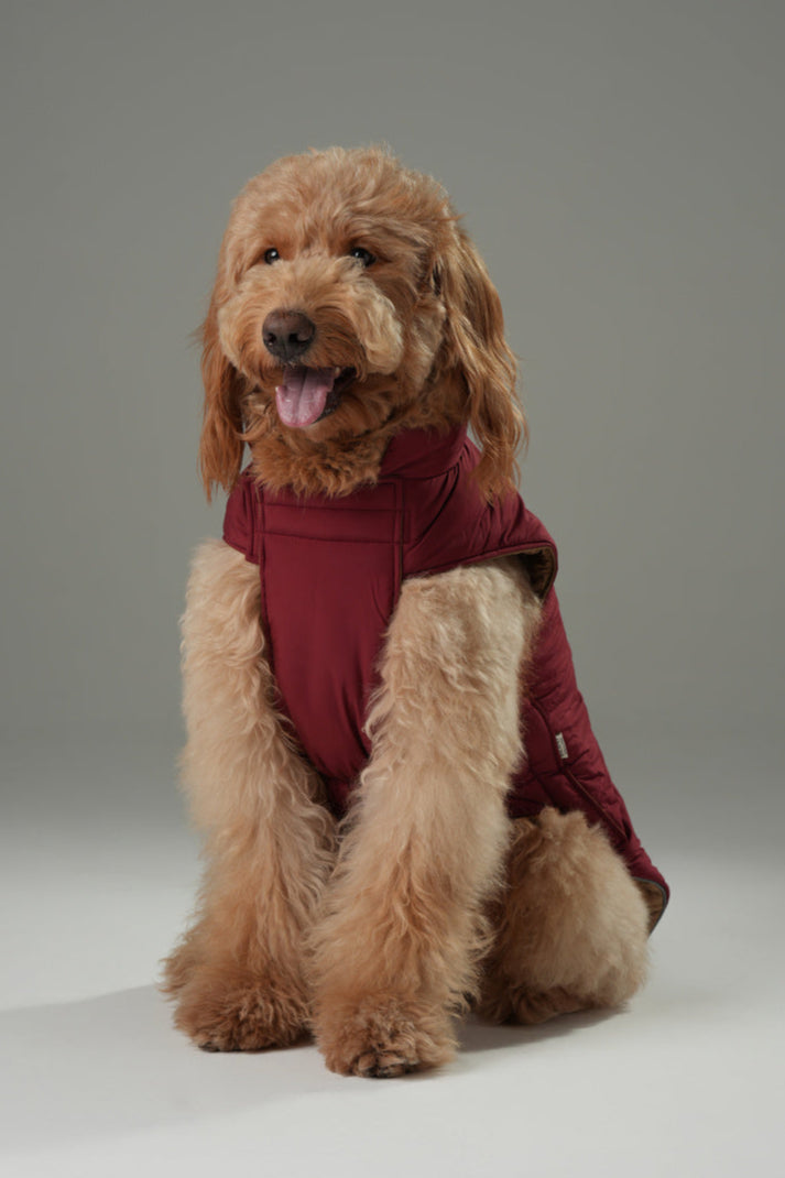 Reversible Dog Vest Jacket - Red Brown