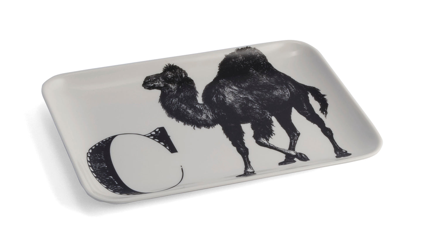C Camel Alphabet Tray