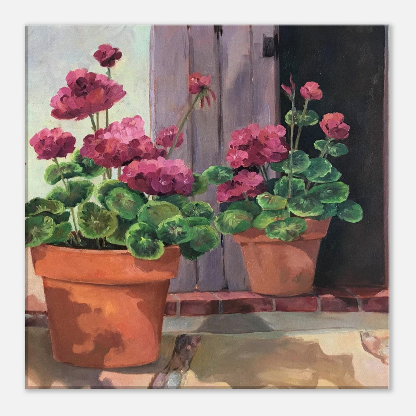 'Potted Pink Geraniums Series 2' Floral I 16x16 inch Art Print on Canvas I Original Artwork by American Artist Barbara Cleary
