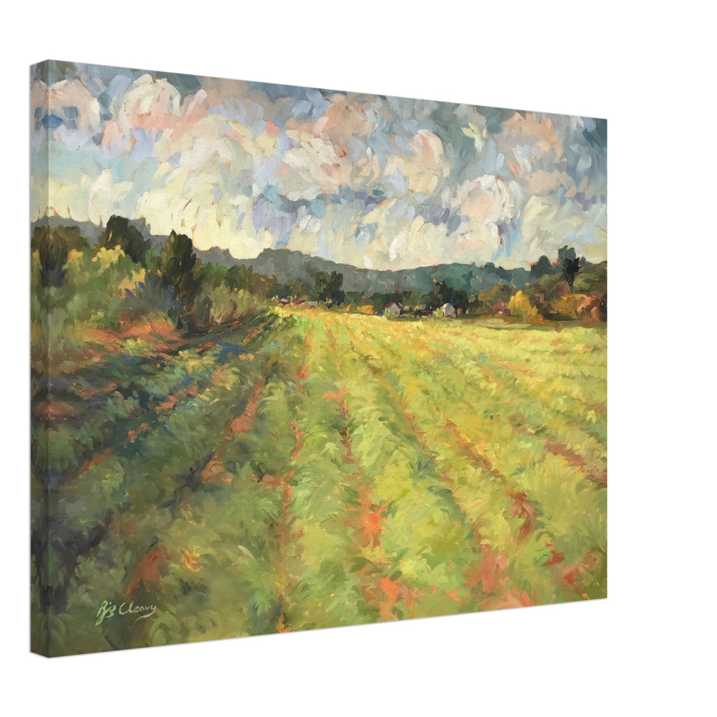 'Before the Harvest' Landscape I 18x24 inch Canvas Art Print I Original Artwork by American Artist Barbara Cleary