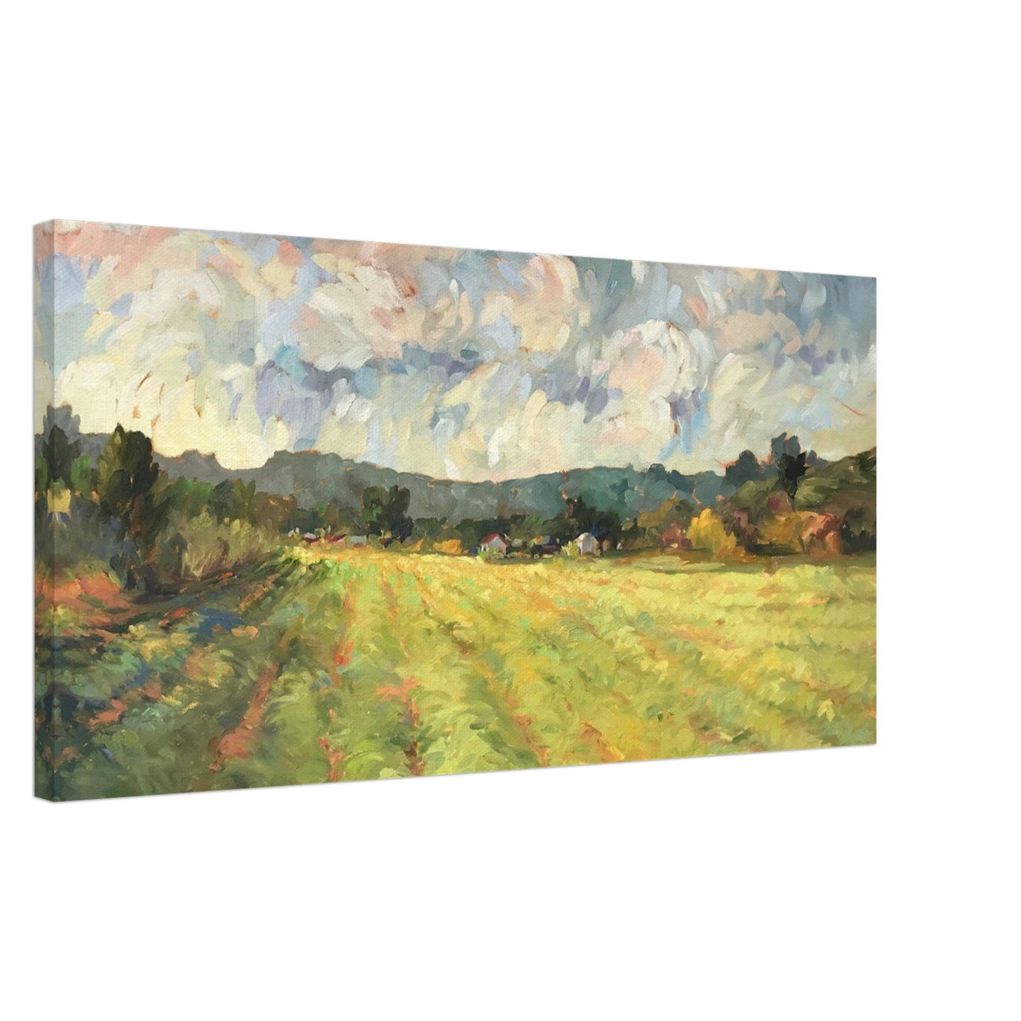 'Before the Harvest' Landscape I 16x32 inch Art Print on Canvas I Original Artwork by American Artist Barbara Cleary