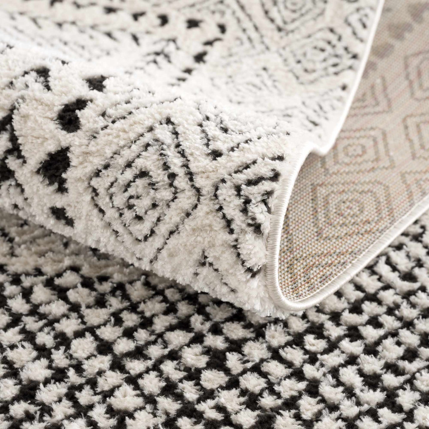 Julio Area Rug
