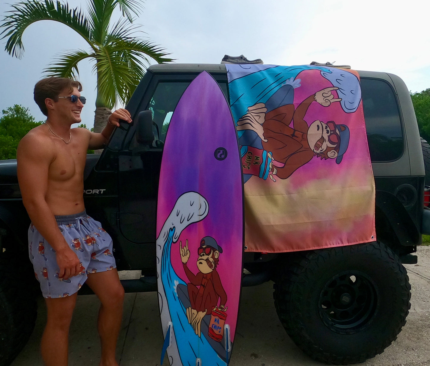 Mr. Chips Flag
