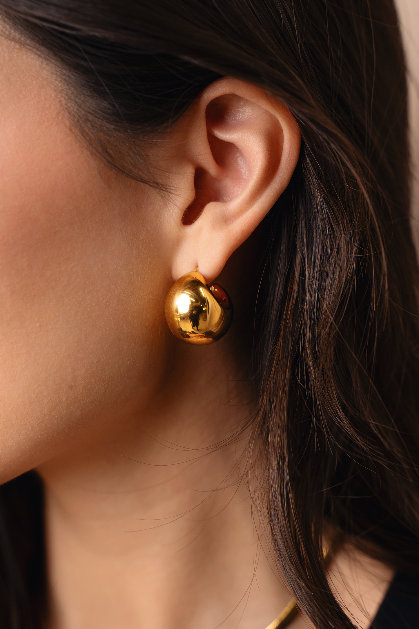 PAIGE Earrings