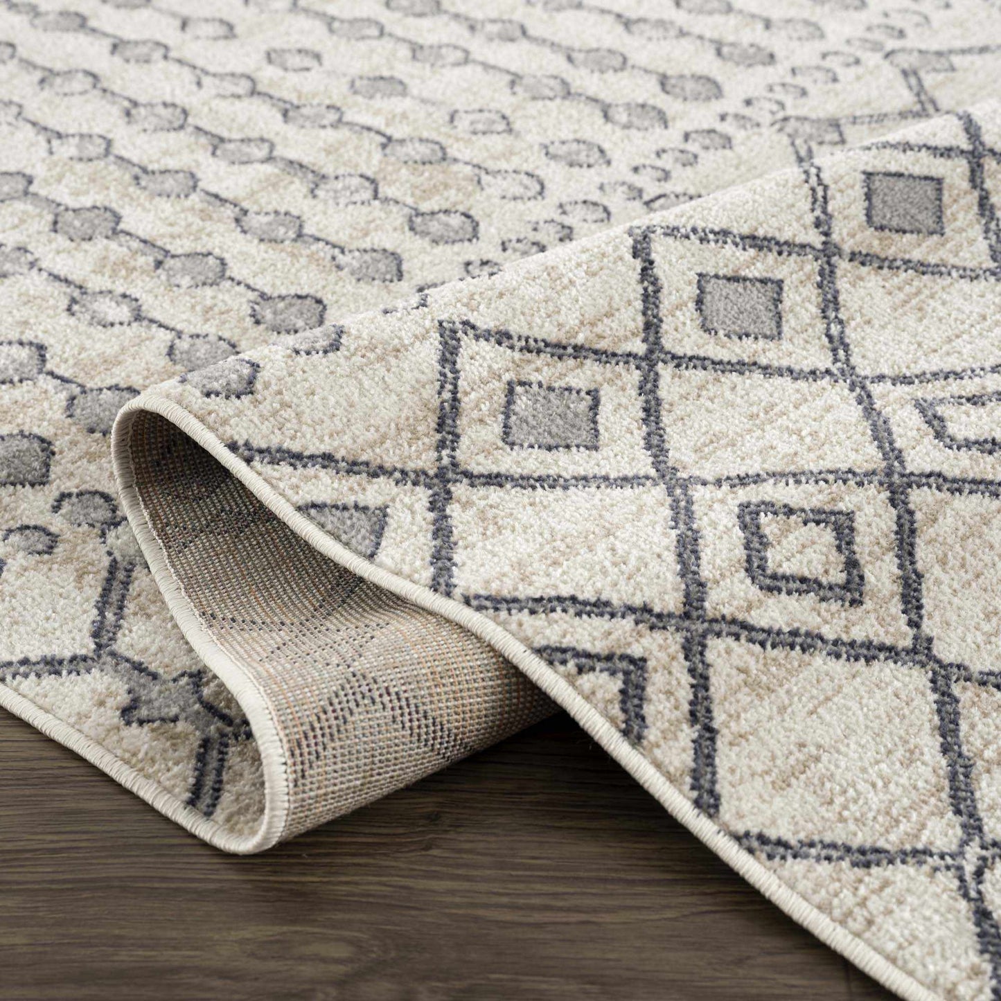 Midstream Washable Area Rug