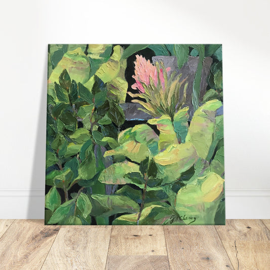 'Bromeliads' Pink and Green Floral I 16x16 inch Art Print on Canvas I Original Artwork by American Artist Barbara Cleary