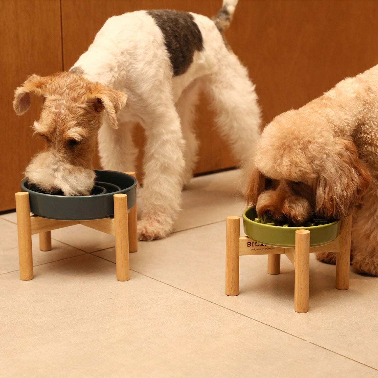[Spark] Slow Feeder Dog Bowls - Red / Green / Blue
