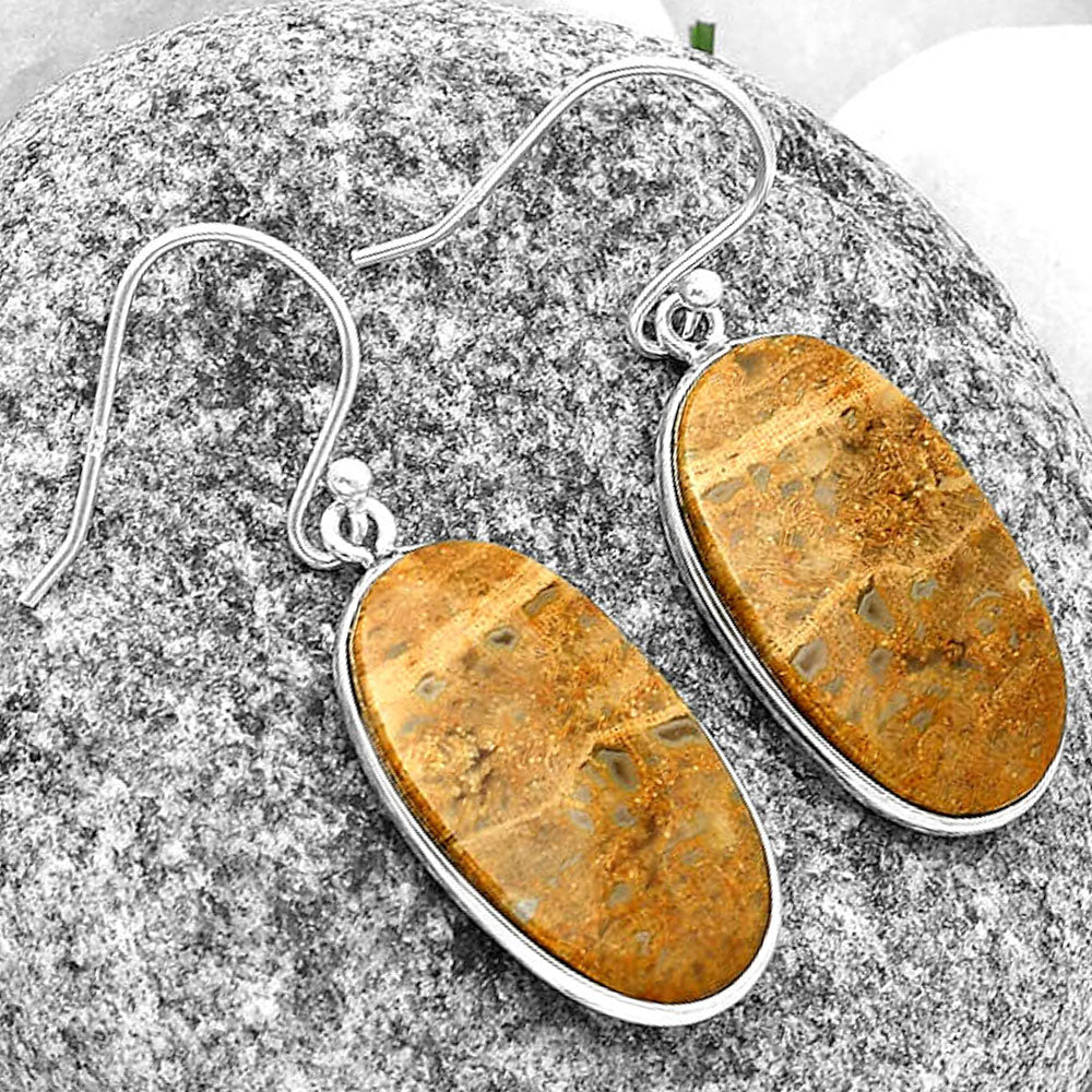 Natural Palm Root Fossil Agate Earrings E-1001 SDE74819