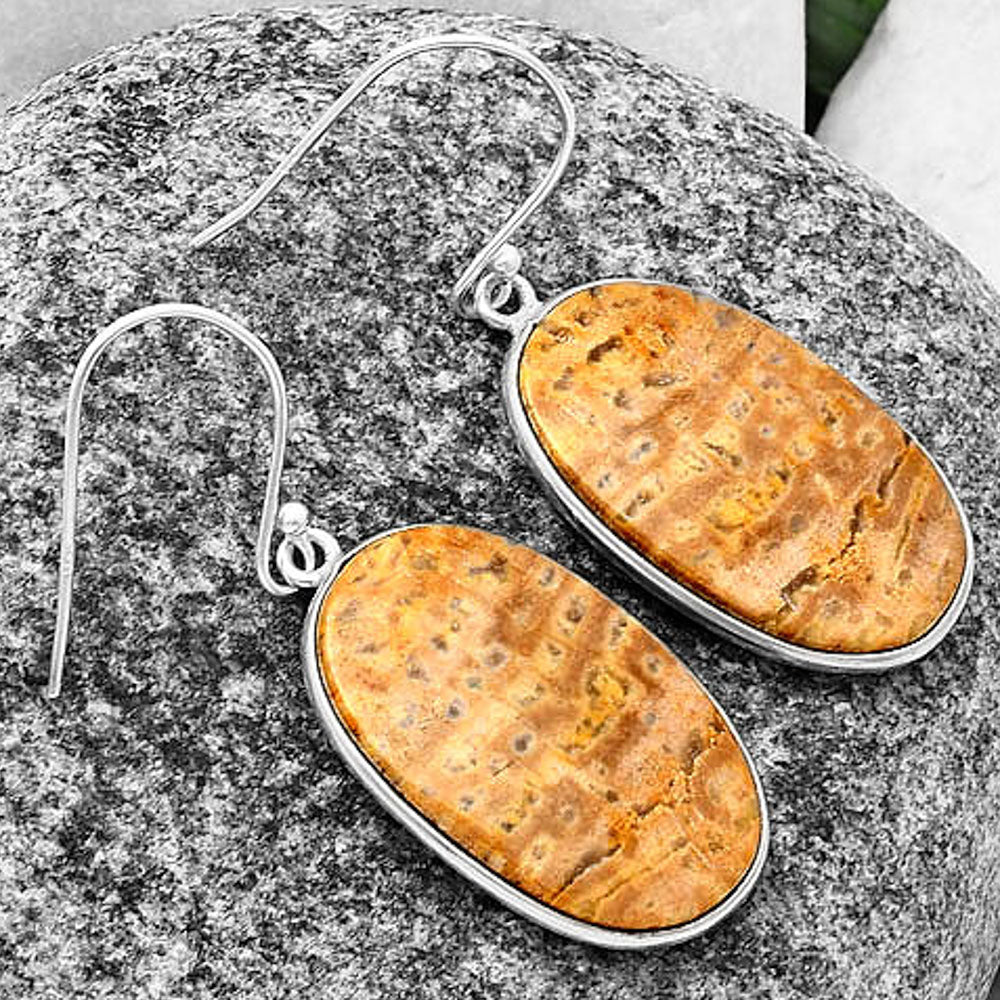 Natural Palm Root Fossil Agate Earrings E-1001 SDE75834