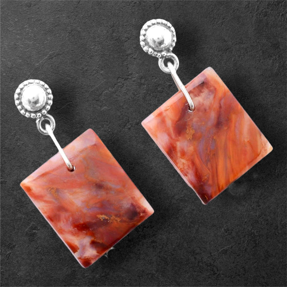Natural Pietersite - Namibia Earrings E-1227 SDE86586