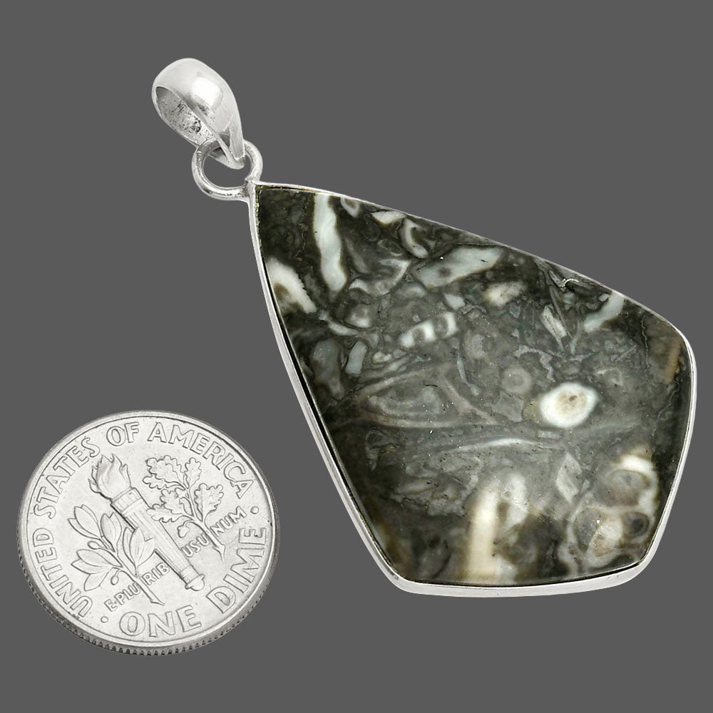 Natural Mexican Cabbing Fossil Pendant P-1001 SDP150409
