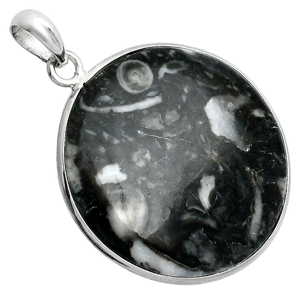 Natural Mexican Cabbing Fossil Pendant P-1001 SDP153321