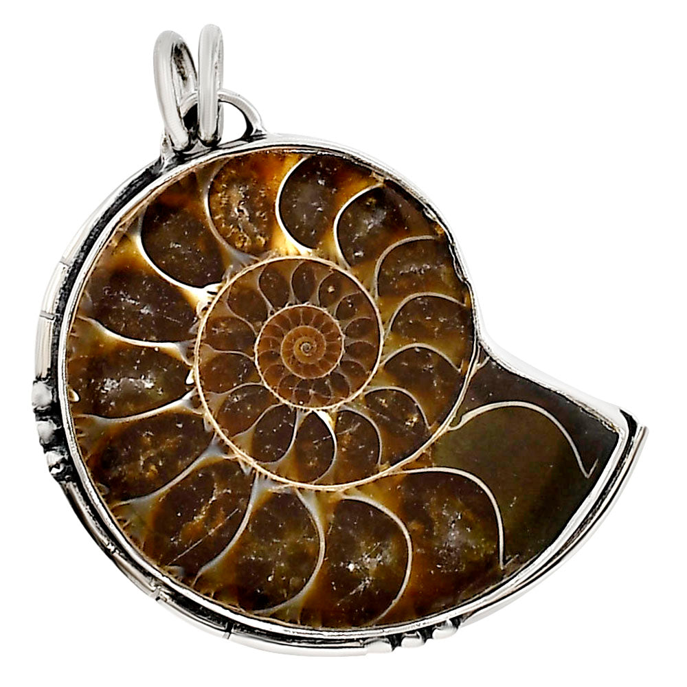 Fossil Ammonite Pendant P-1736 SDP158652