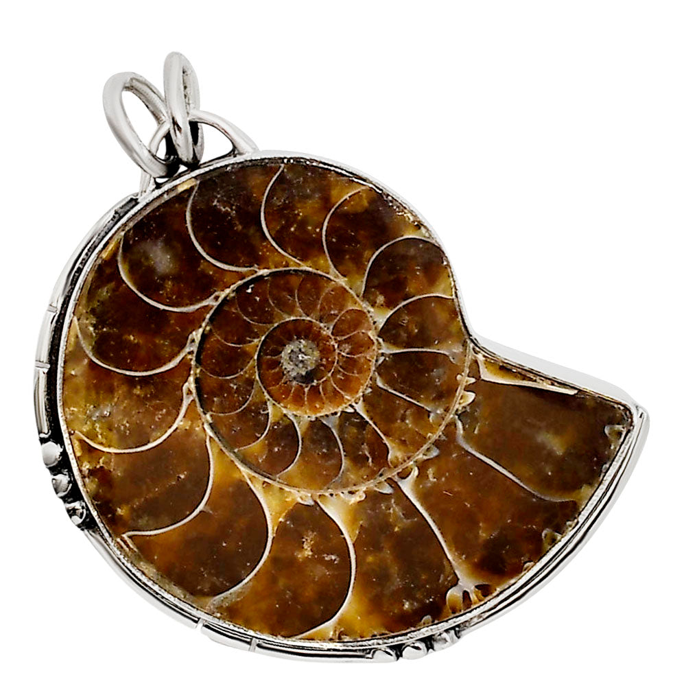 Fossil Ammonite Pendant P-1736 SDP158659