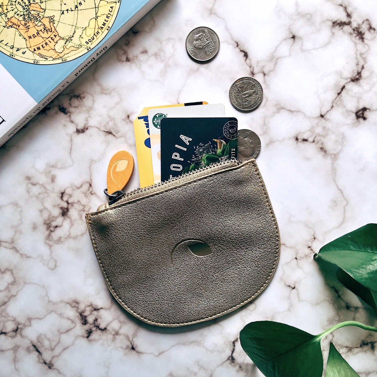 Coney Coin Pouch (5 Colors)