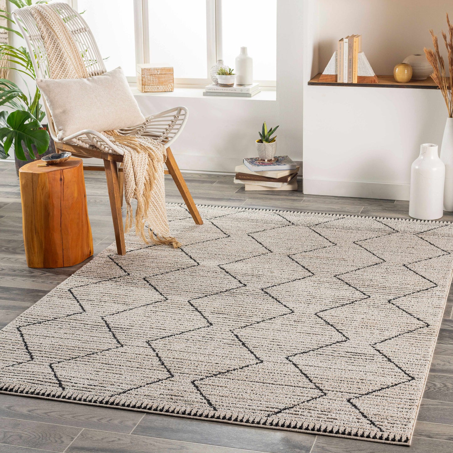 Maonon Cozy Area Carpet - Clearance