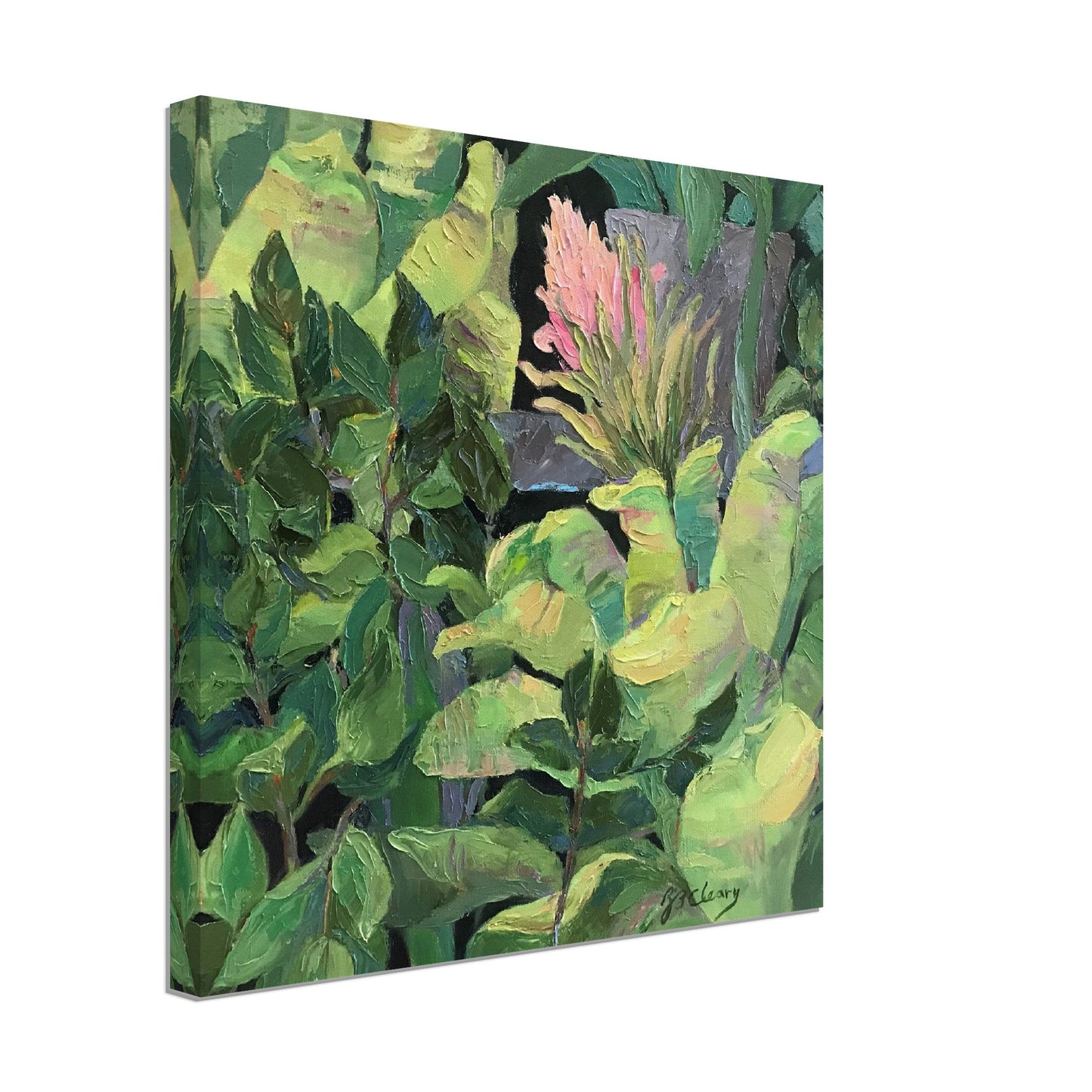 'Bromeliads' Pink and Green Floral I 16x16 inch Art Print on Canvas I Original Artwork by American Artist Barbara Cleary