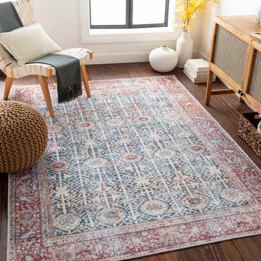 Rust Catadupa Distressed Washable Area Rug - Clearance