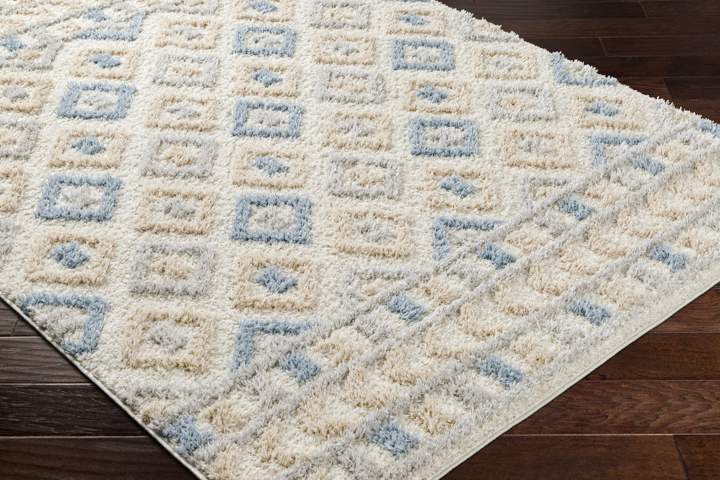 Eivin Pink & Blue Area Rug