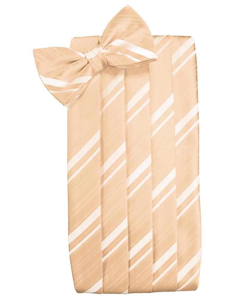 Set Striped Satin Cummerbund & Bow Tie