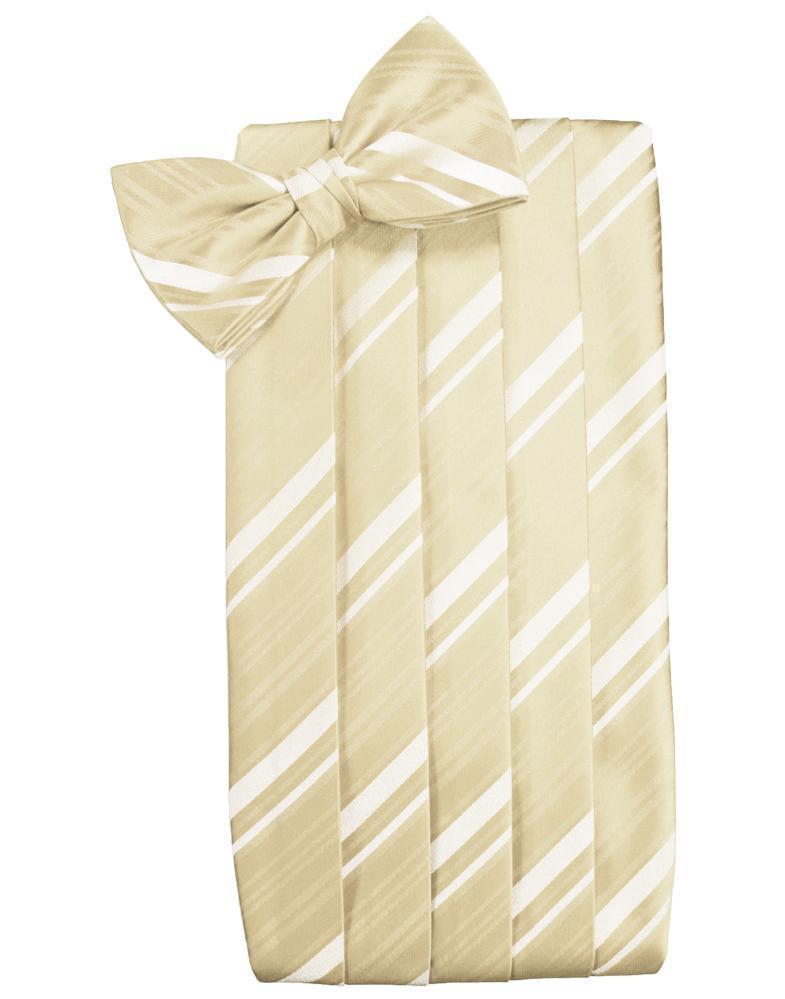 Set Striped Satin Cummerbund & Bow Tie