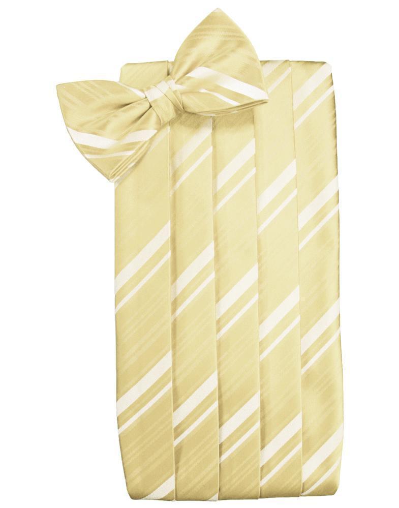 Set Striped Satin Cummerbund & Bow Tie