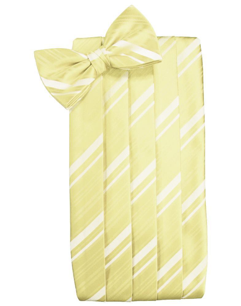 Set Striped Satin Cummerbund & Bow Tie
