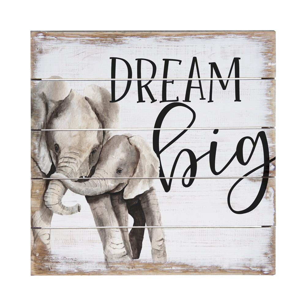 Dream Big